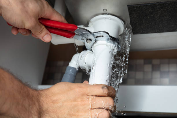 Best Professional water damage repair  in Richmond, TX