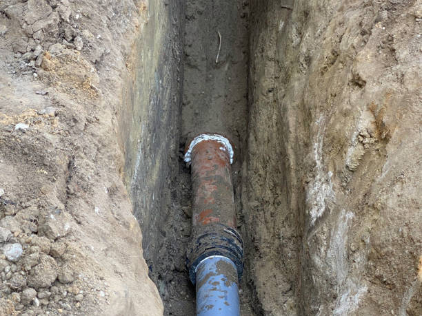 Best Flood restoration services  in Richmond, TX