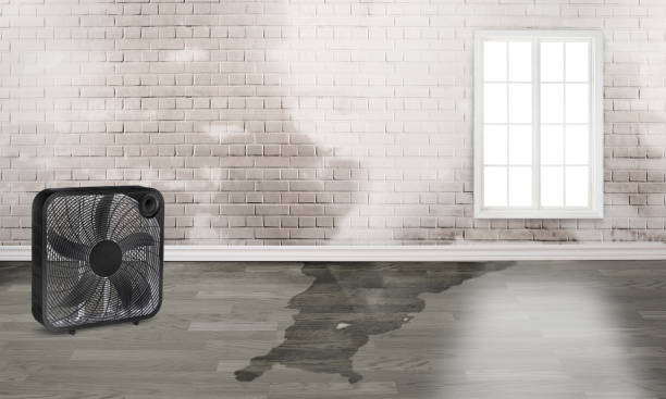 Reliable Richmond, TX Water damage restoration Solutions