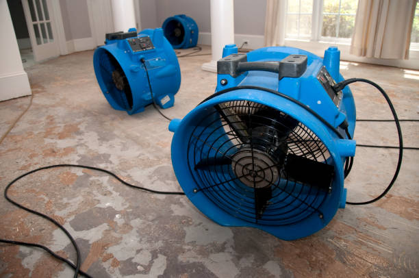 Best Residential water damage restoration  in Richmond, TX