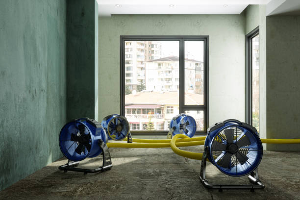 Best Water damage restoration cost  in Richmond, TX